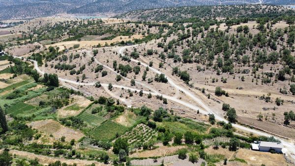 Çukurçimen De Yeri Düz Yolu Olan Yeşillikler İçerisinde Bahçe