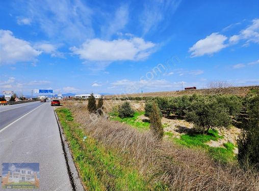 Kırkağaç Bakır Da Turizm İmarlı Ana Yol Üzerinde Arazi.