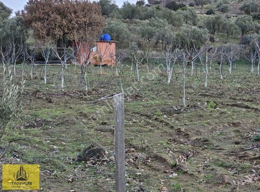 Merkez Akçapınar Köyünde İmara 100 Mt 3 Taraf Yola Cephe Satılık