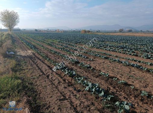 Turyap Torbalı'dan Fırsat Tek Tapu 9.900 M2 Satılık Tarla