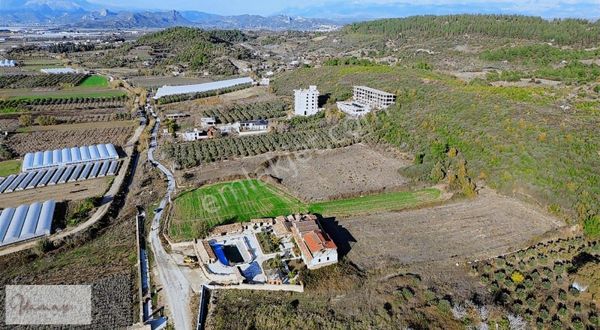 İdamax'tan Bereket'te Tek Tapu Satılık 10 Dönüm Tarla