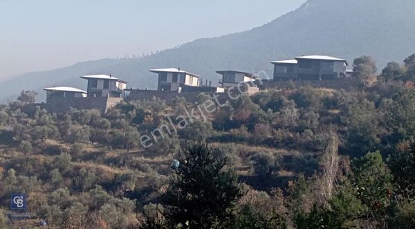 İzmir Kemalpaşa Yukarıkızılca'da Tek Tapu Satılık Arazi