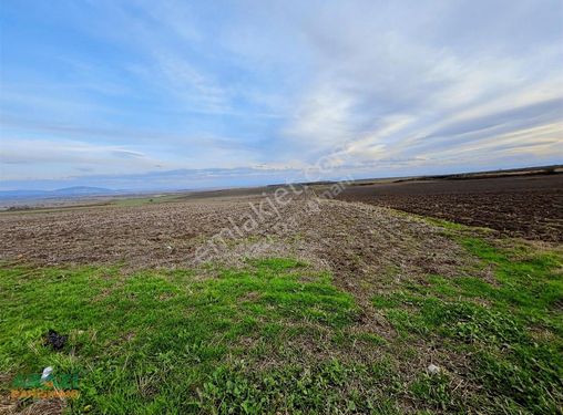 Bursa Karacabey Tophisar Köyünde 3.000 M2 Tarlalar