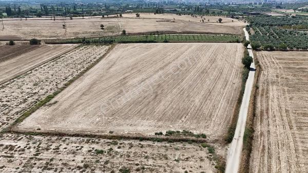 Şahin Gayrimenkul Den Adanan Menderes Mah Satılık 23,150m2 Yatırımlık Tarla