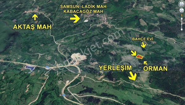 Samsun Ladikde 1.367 M2 Müstakil Tapulu Tarla