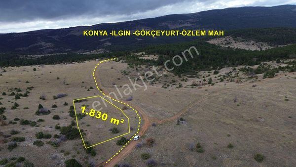 Konya / Ilgın / Gökçeyurt-özlem Mahallesinde 1.830 M² Müstakil Tapulu Tarla