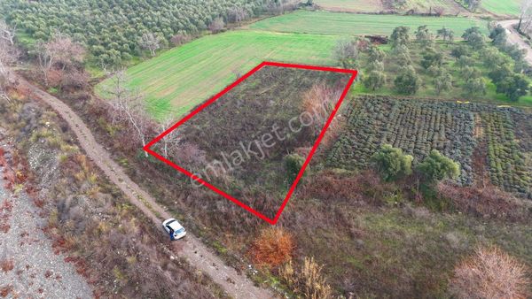 Muğla Yatağan Bozüyük(güzelköy) 1.566 M2 Satılık Yolu Olan Tarla