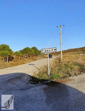 Seferihisar Düzcede 462m2 İmarlı Sığacık Ve Tokilere Komşu Arsa.