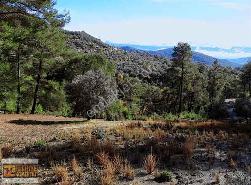 Fethiye Yakacık Mah. Satılık Tarla