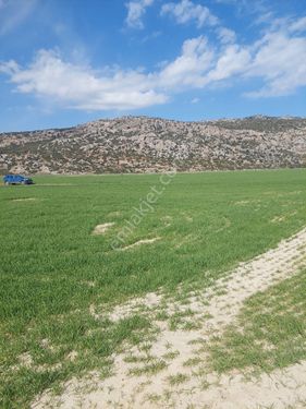 Burdur Bucak Boğazköyde Satılık Tarla