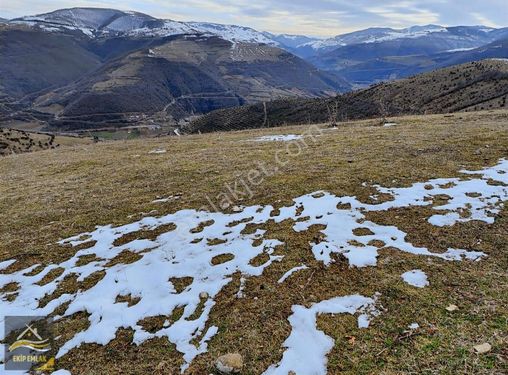 Ekip Emlaktan İlkadım Asağı Avdanda 2671m2 Tarla Fırsat