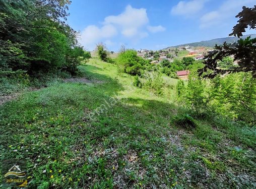 Ekip Emlaktan İlkadım Aşağıavdanda 1655m2 Tarla Yolu Mevcut