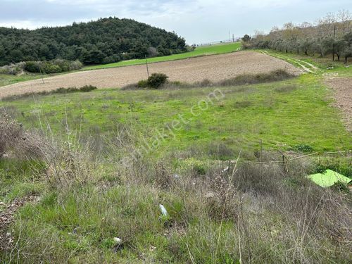 Çanakkale Merkez Gökçalı Köyü Yol Üzeri Satılık Arazi