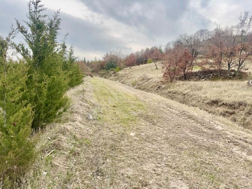 Manisa Kozaklar Da 4.900 M2 Tarla , Yolu Var , Tek Tapu