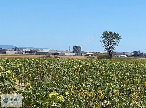 Kırklareli Sanayisine 1.500 Metre Mesafede Tek Tapu Tarla