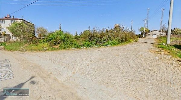 Dilovası Çerkeşli De Satılık 947 M2 Köşe Parsel Tek Tapu Arsa