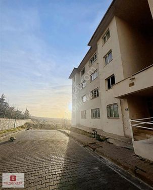 Zirve Kentte Eşyalı Satılık Haftanın Fırsatı 1+1 Borçsuz Daire