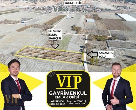 Vıp Gayrimenkul' Den Yakaçiftlik Mah. 3974 M2 Elma Bahçesi