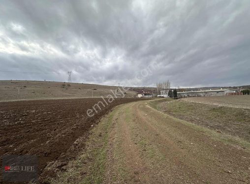 Rw Lıfe// Turgutlar Köyü İç Yolunda Satılık Tarla