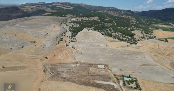 Oğuzlar'dan Yenikent İlyakut'ta 14602 M² Arazi