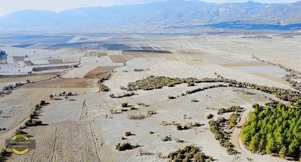 Burdur Bucak Anbahanda 74.818 M2 Müstakil Tapulu Tarla