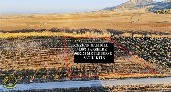 Ceyhan Hamdilli Yol Üstü Yerleşim Yerine Yakın Satılık Tarla