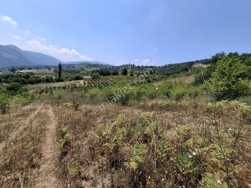 Roma' Dan Çayyaka' Da Satılık Tarla