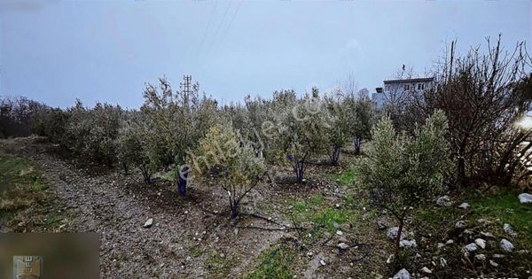 Denizli Honaz Kızılyer De Satılık Arsa