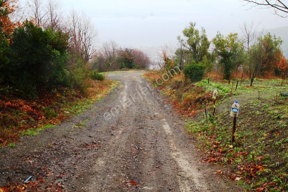 Gölcük Yalı Sahile Yakın Deniz Manzaralı 8.597m2 Satılık Arsa