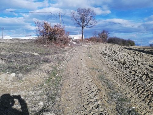 Bolu Göynük Boyacılarda 14598 M2 Çiftlik Arazisi