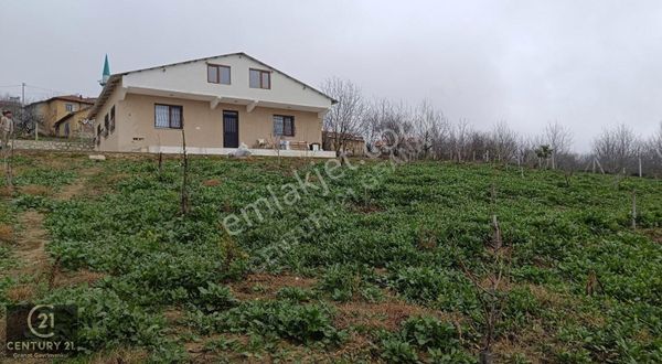 Sakarya Geyve Sabırlar Köyü 1500 M2 İçinde 150 M2 Çiftlik Evi