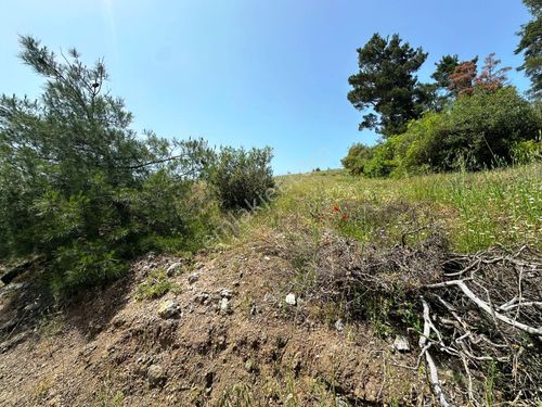 Yenice Çalköy Asfalta Cephe Müstakil Parsel 2 Dönüm Satılık Arsa