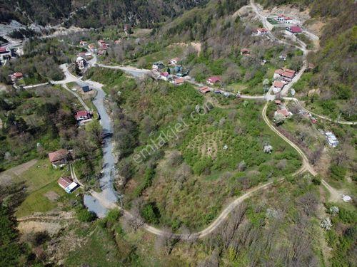 Sapanca-ikramiye Köy İçinde-2956m2-konut İmarlı-satılık Arsa