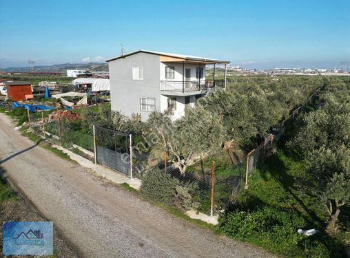 Menderes Tekelide 2200 M2 Hisse Tapulu Tarla