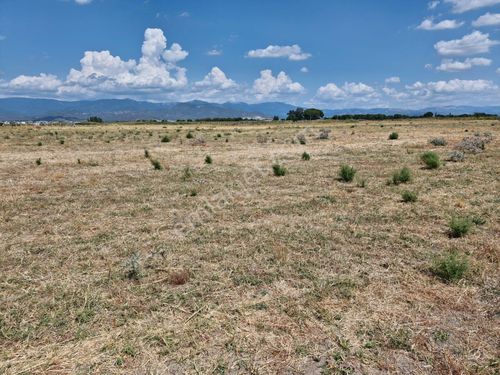 Burhaniyede Denize Yakın 351 M2 Yatırıma Uygun Satılık Arsa!