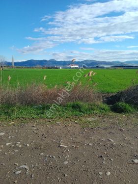 Çorukta 300 Metre Yol Cepheli 30 Dönüm Satılık Tarla