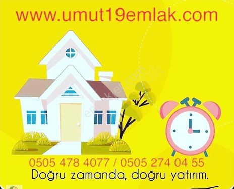 Umut 19 Emlak'tan Elvanköy'de 1029 M2 +1174 M2 Tek Tapu Fırsat Arsa