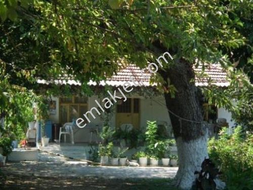 Muğla Köyceğiz Satılık Köy Evi Emlakjet