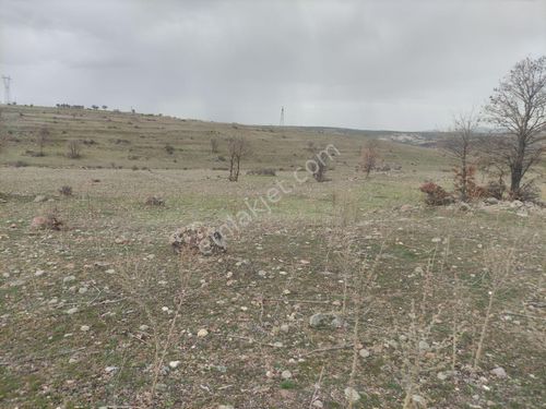 KONYA SEYDİŞEHİR ÇAVUŞ MAH.SATILIK TARLA 18.350 M2