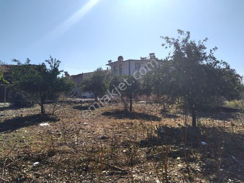 Muğla Köyceğiz Satılık Daire İlanları ve Muğla Köyceğiz Kiralık Ev