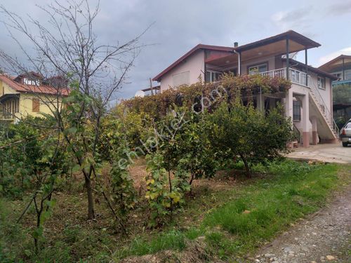 Muğla Köyceğiz Satılık Daire İlanları ve Muğla Köyceğiz Kiralık Ev