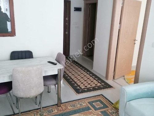 Van Kiralık Daire İlanları ve Kiralık Ev Fiyatları