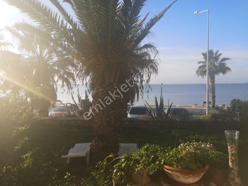Çeşme Çiftlikköy Kiralık Ev Çeşme Çiftlikköy Kiralık Ev Fiyatları ve