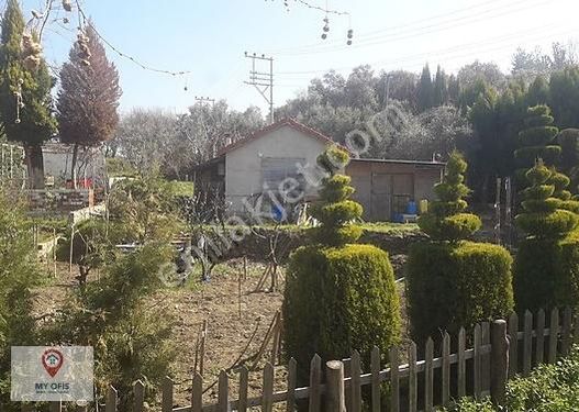 İzmir Kemalpaşa Satılık Müstakil Ev İlanları ve Fiyatları