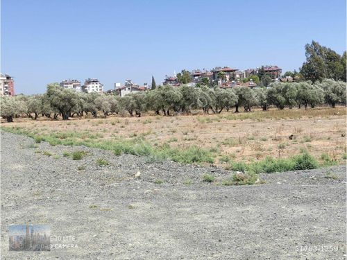 hatay antakya odabasi mahallesi satilik arsa fiyatlari ve ilanlari