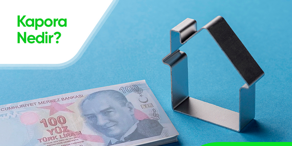 haber detay alt görsel