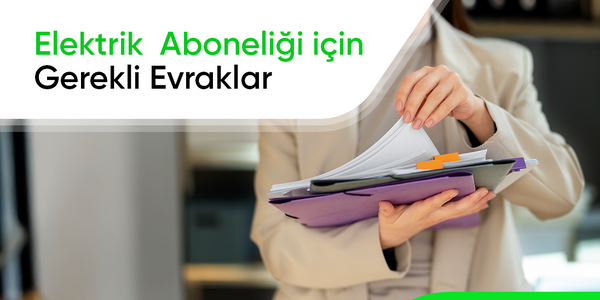 haber detay alt görsel