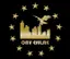 Poyraz  Gravi logo