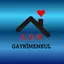 Ahmet Enes Saridemi̇r logo