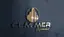 Ali̇ Koca logo